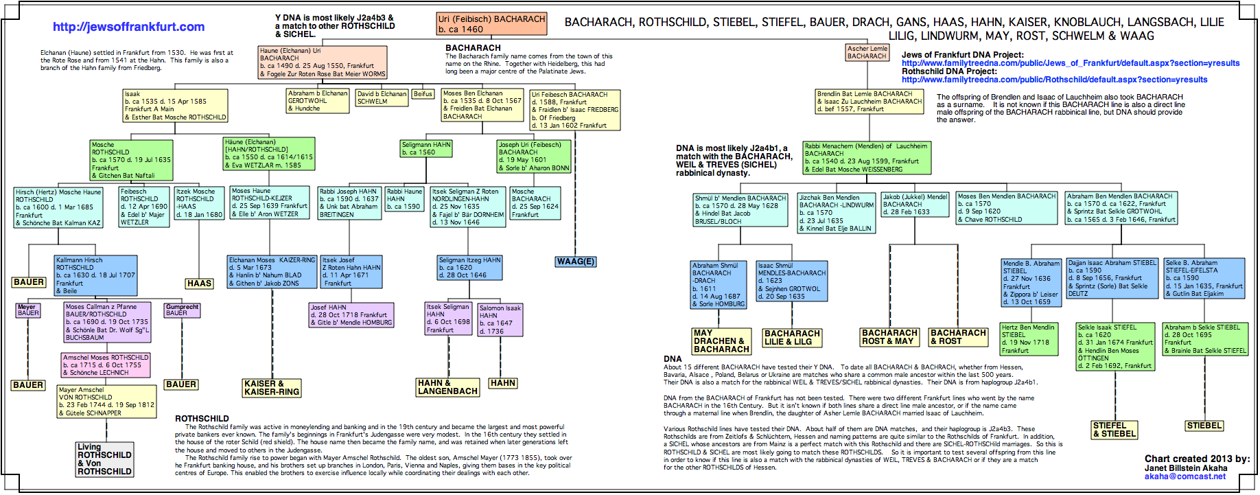 Bacharach-Rothschild Y Tree X